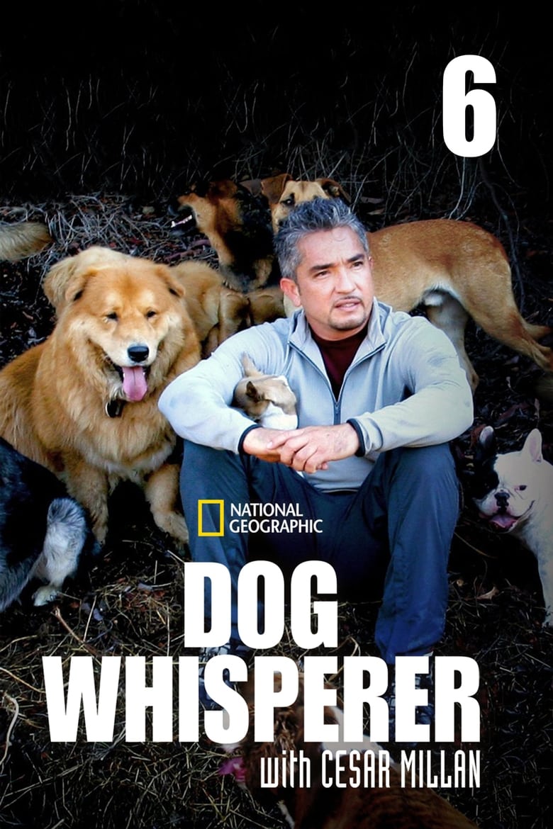 Poster of Episodes in Dog Whisperer - Season 6 - Season 6