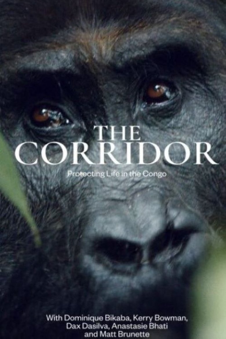 Poster of The Corridor