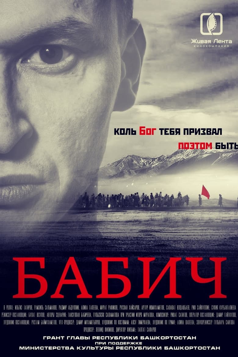 Poster of Бабич