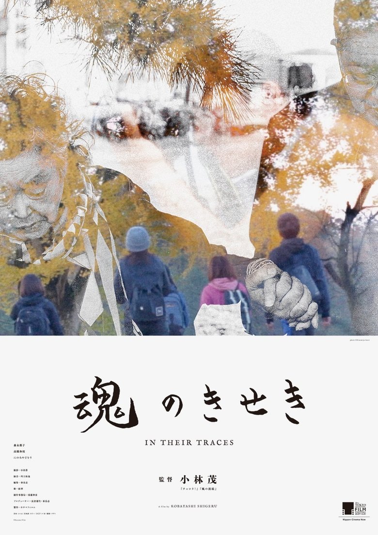 Poster of In Their Traces