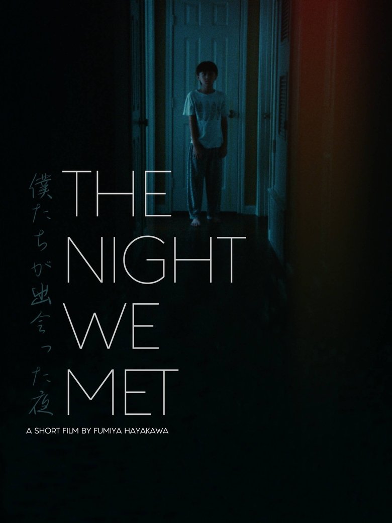 Poster of The Night We Met