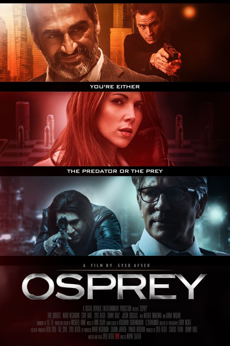 Poster of Osprey