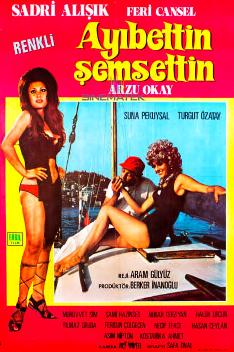 Poster of Ayıbettin Şemsettin