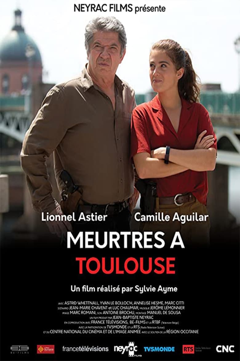 Poster of Murders In Toulouse