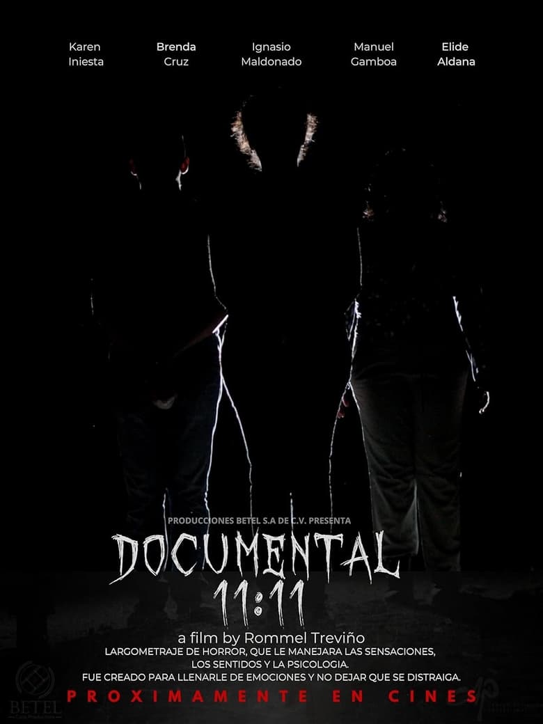 Poster of Documentary 11:11