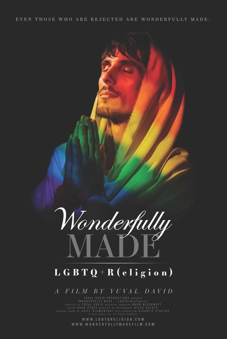 Poster of Wonderfully Made: LGBTQ+R(eligion)