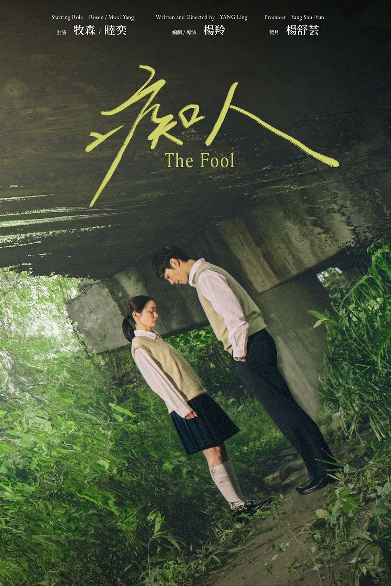 Poster of The Fool