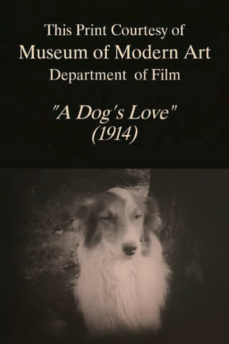 Poster of A Dog's Love