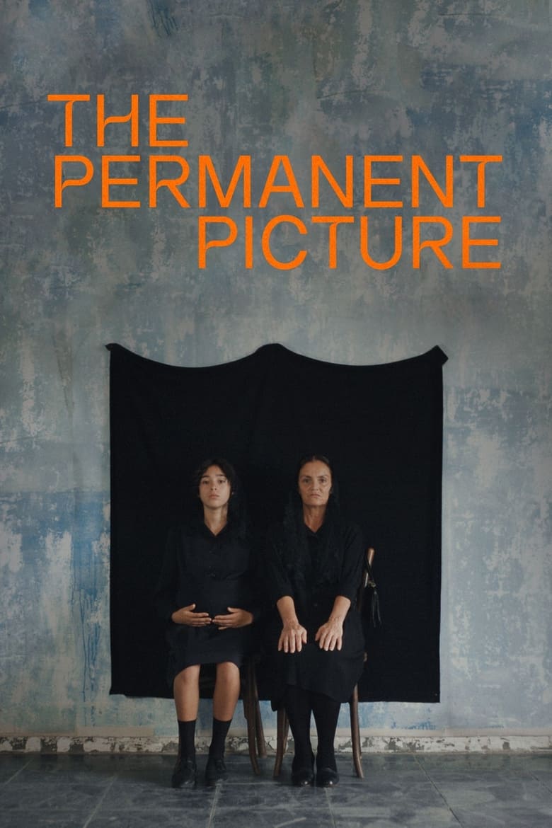 Poster of The Permanent Picture