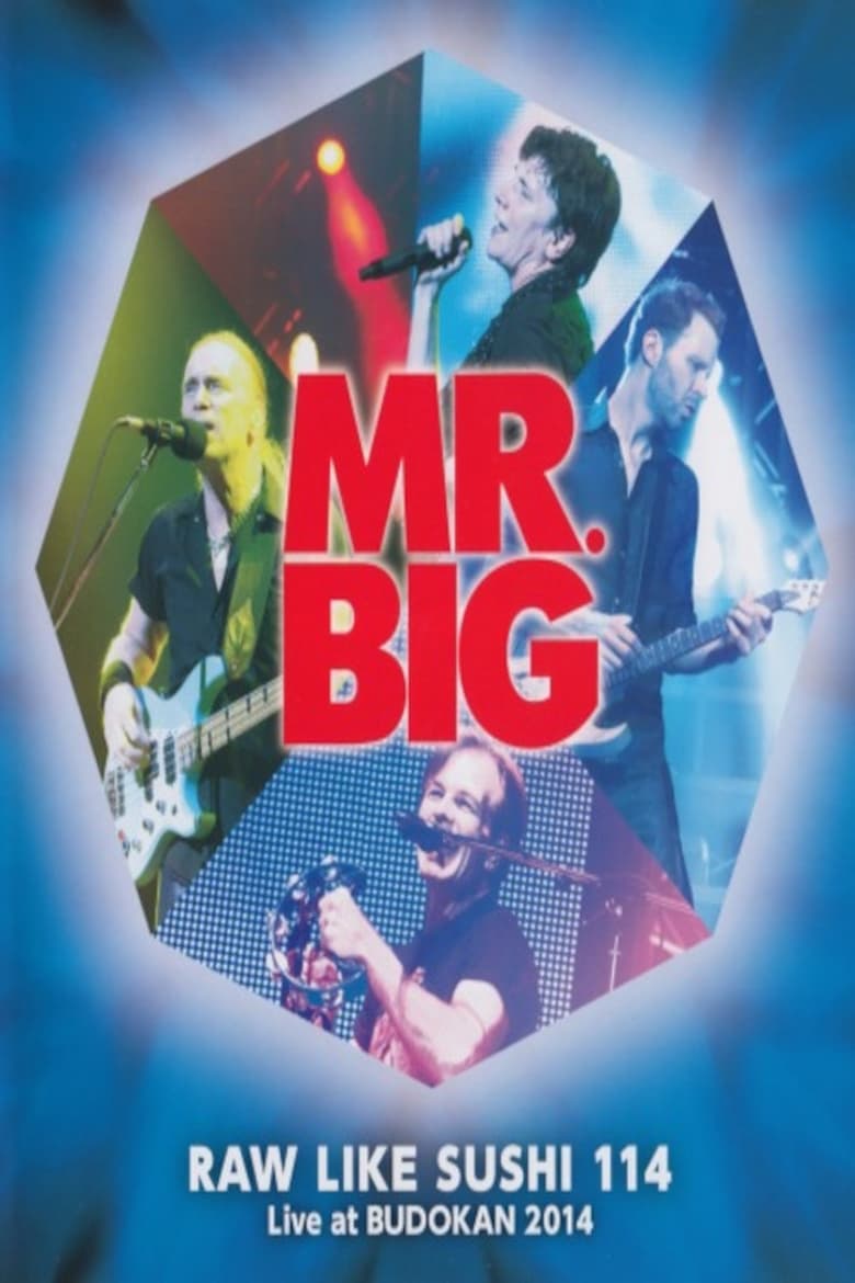 Poster of Mr. Big: Raw Like Sushi 114