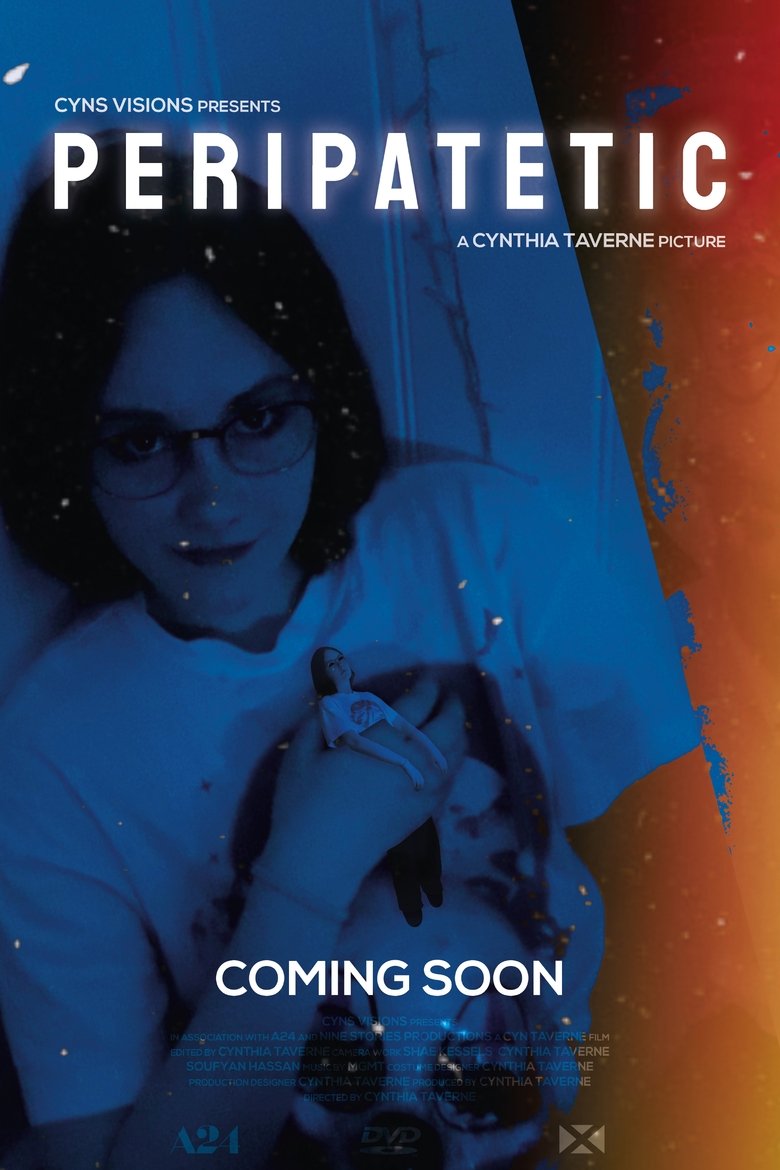 Poster of PERIPATETIC