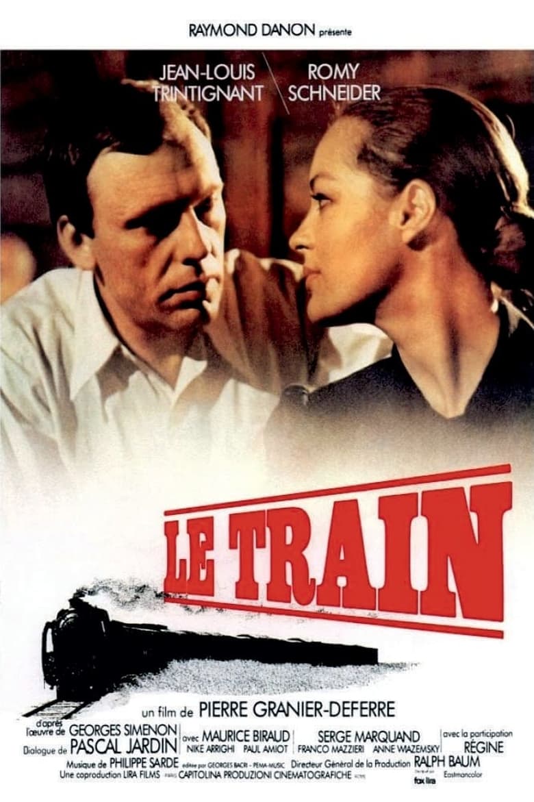 Poster of The Last Train