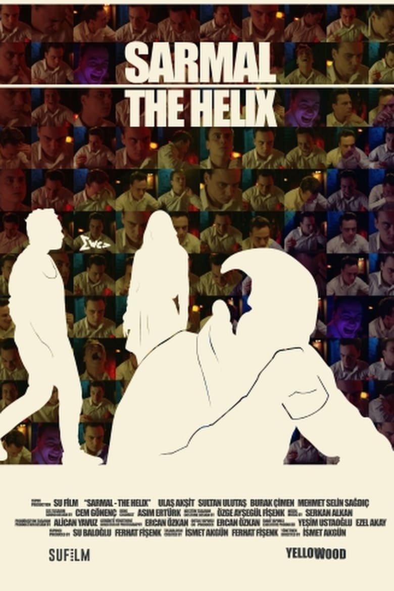 Poster of The Helix