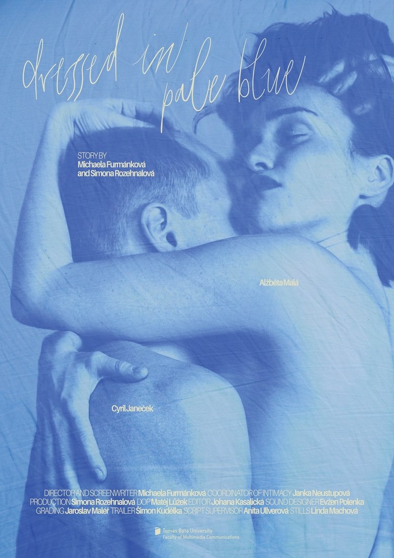 Poster of V bleděmodré oblečeni