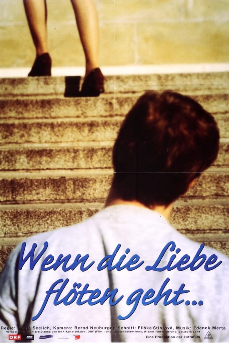 Poster of Wenn die Liebe flöten geht