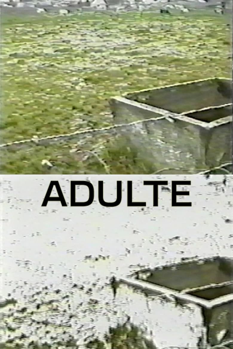 Poster of Adulte