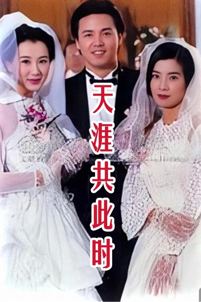 Poster of 天涯共此时