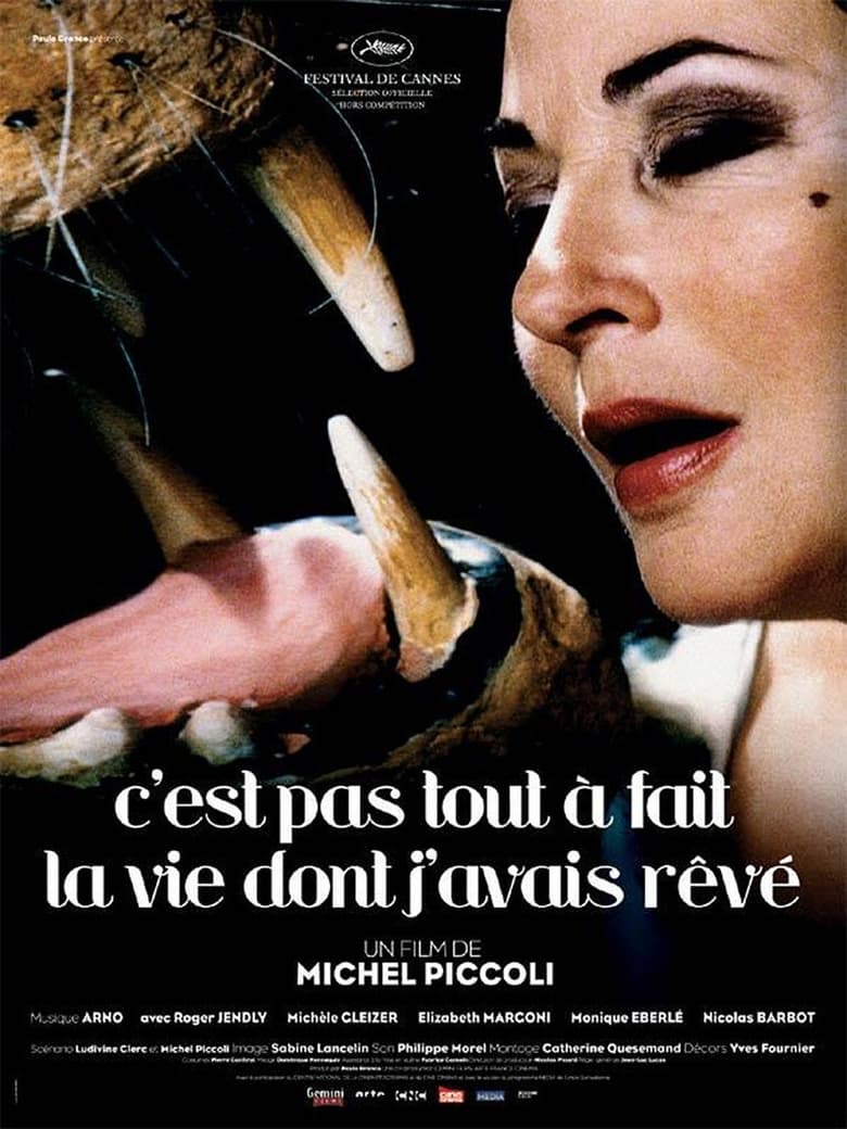 Poster of C'est pas tout à fait la vie dont j'avais rêvé