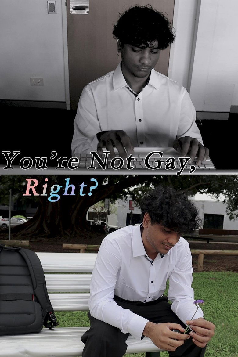 Poster of You're Not Gay, Right?