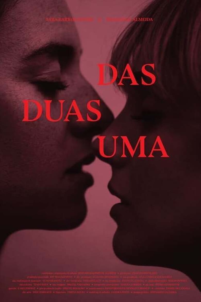 Poster of Das Duas Uma