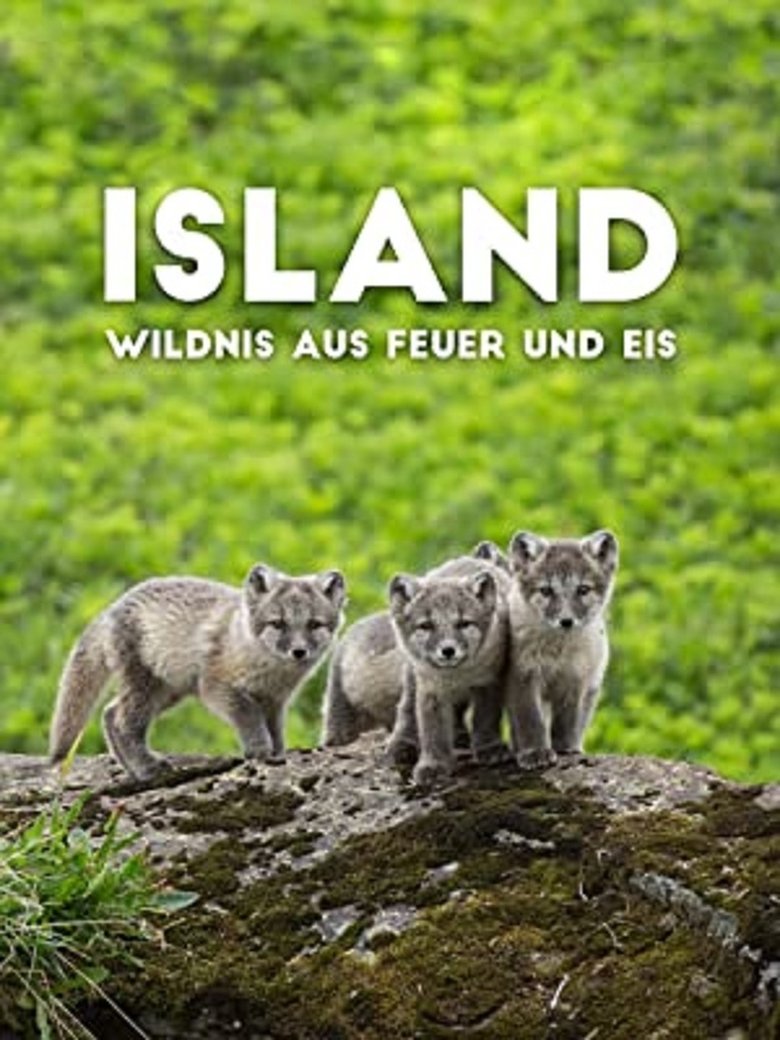 Poster of Iceland: Wilderness of Fire and Ice