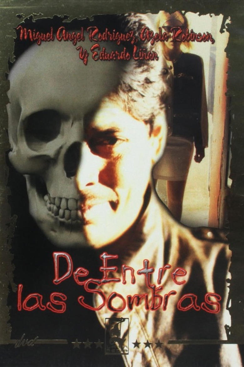 Poster of De entre las sombras