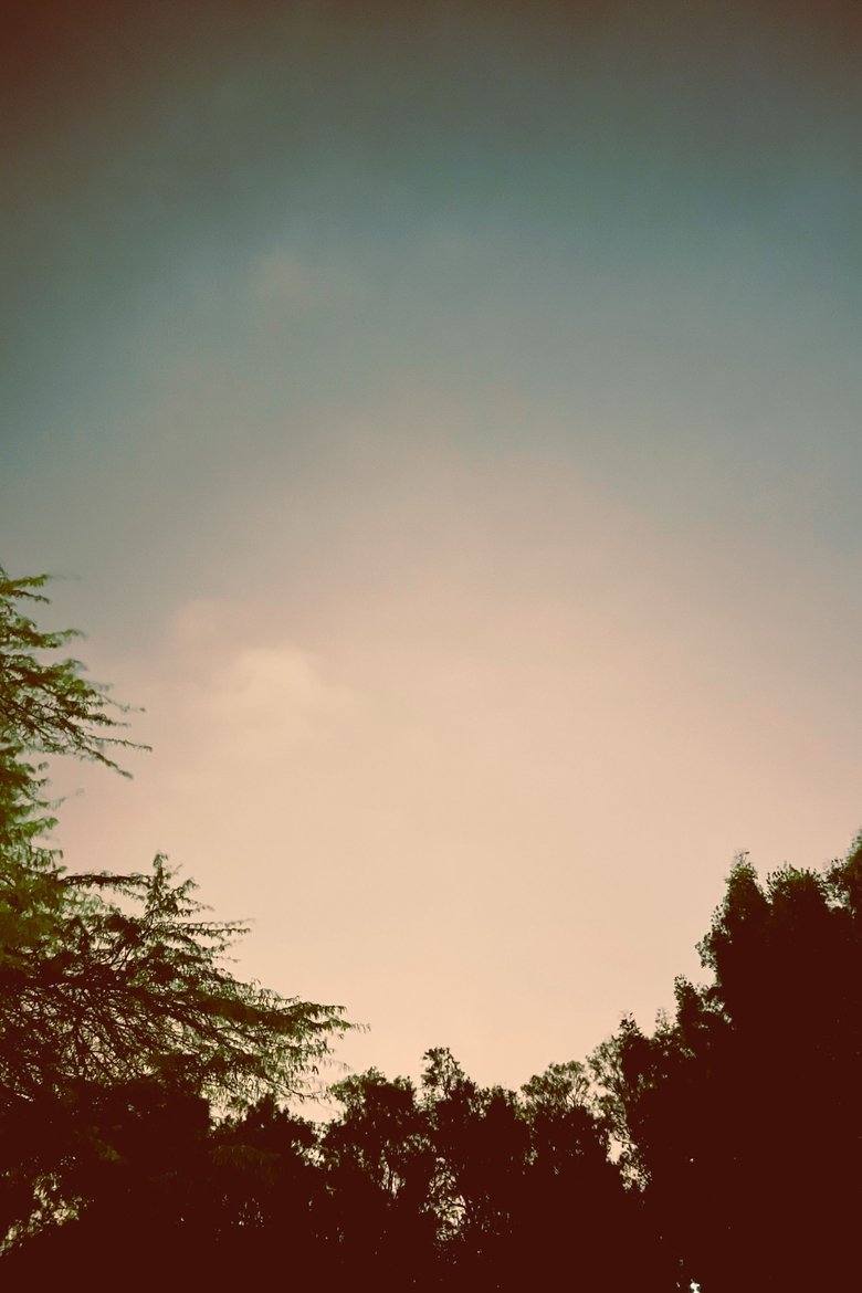 Poster of A dream within a Dream