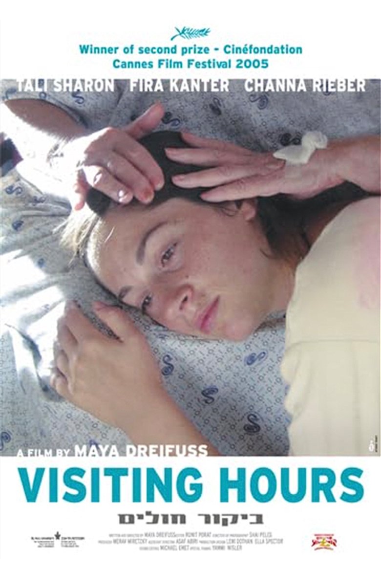Poster of Visiting Hours