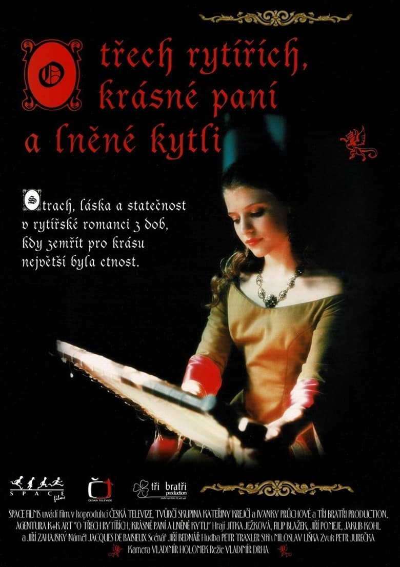 Poster of O třech rytířích, krásné paní a lněné kytli