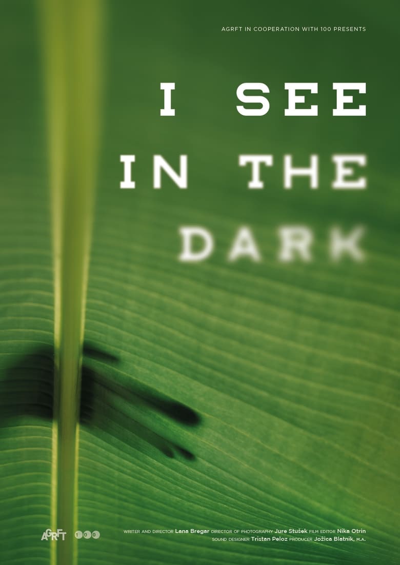 Poster of I See in the Dark