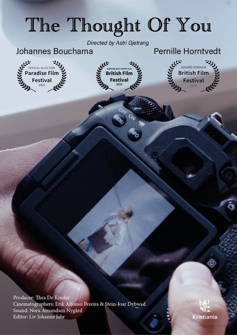 Poster of The Thought of You