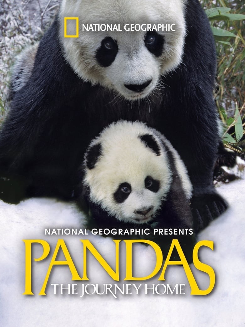 Poster of Pandas: The Journey Home