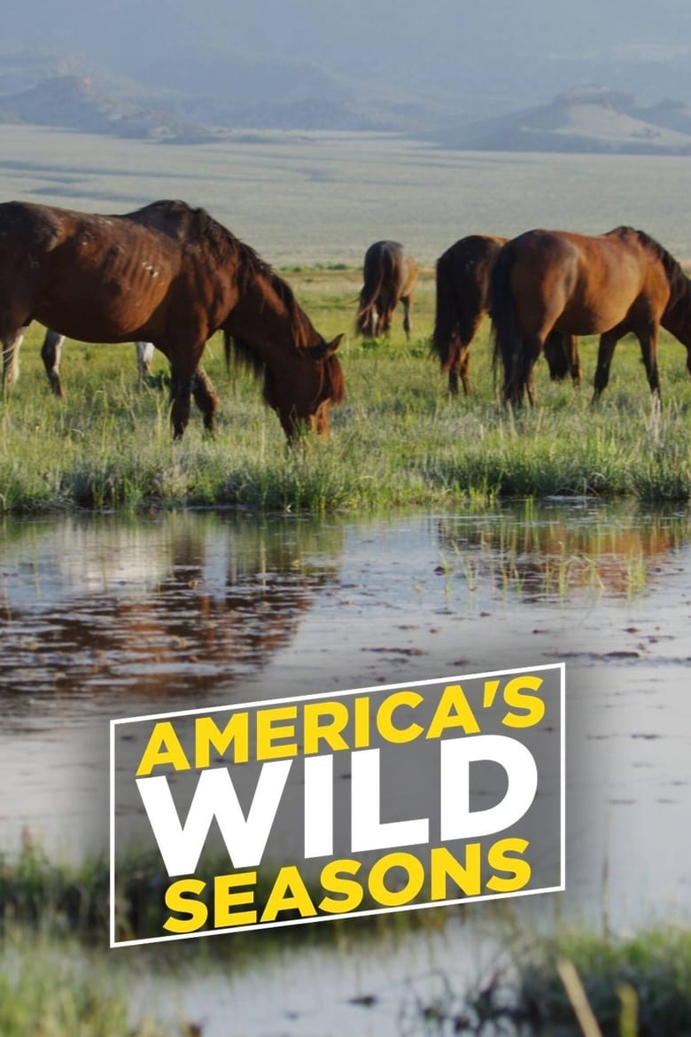 Poster of America's Wild Seasons