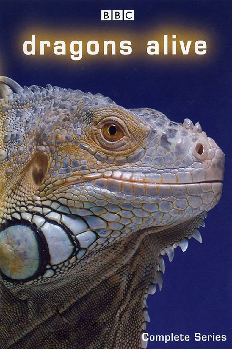 Poster of Episodes in Dragons Alive - Season 1 - Season 1