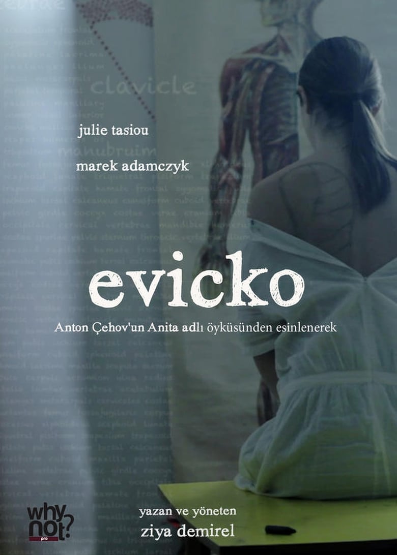 Poster of Evicko