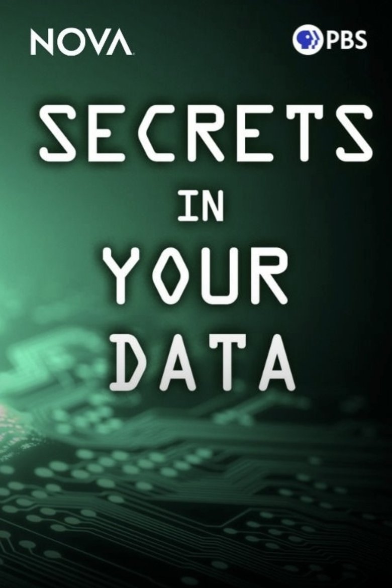 Poster of Secrets in Your Data