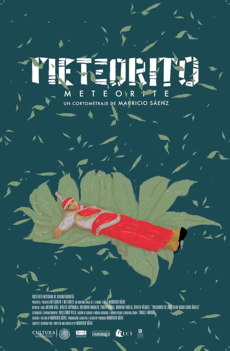 Poster of Meteorite