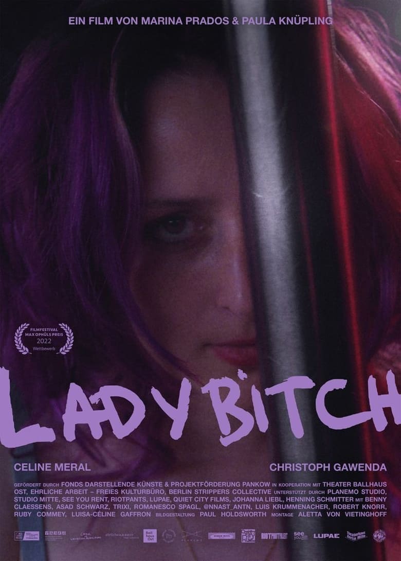 Poster of Ladybitch