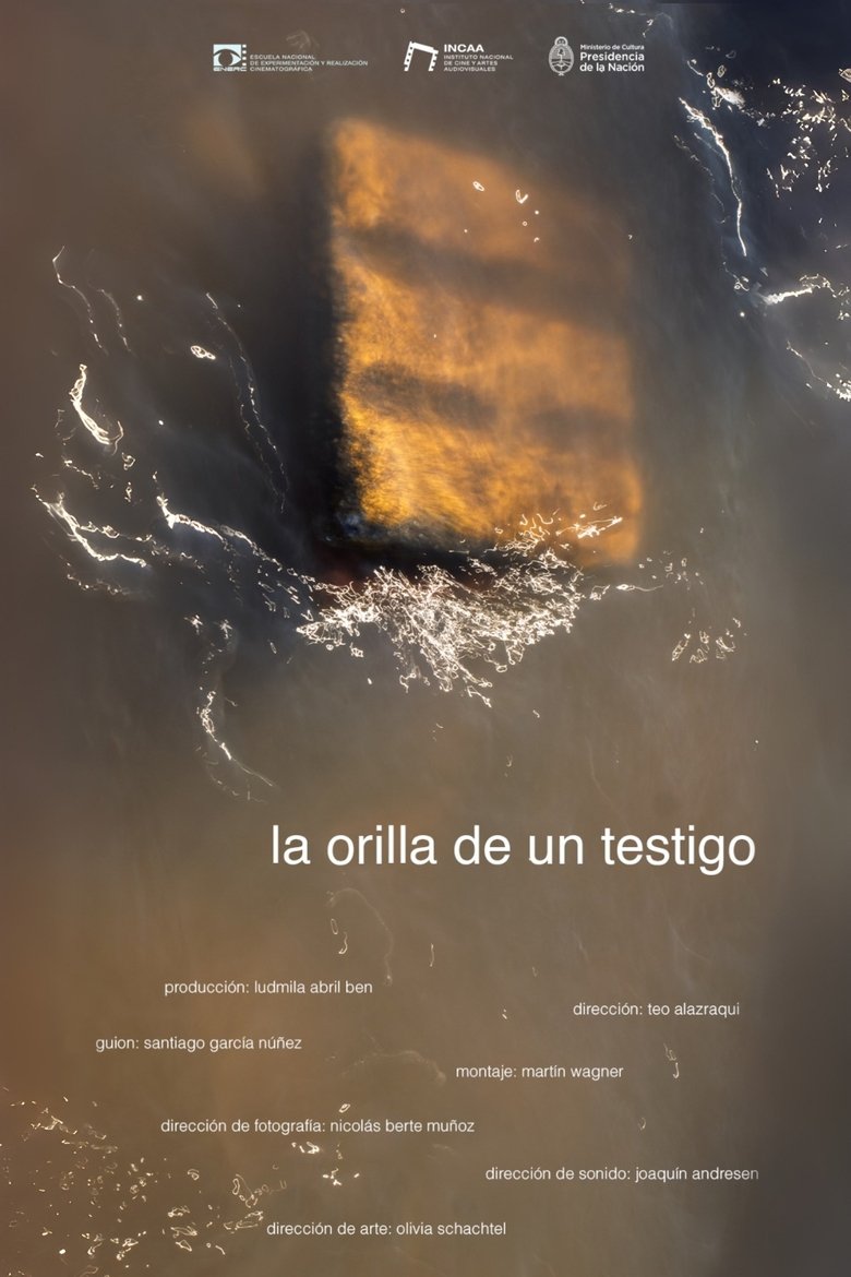 Poster of La orilla de un testigo