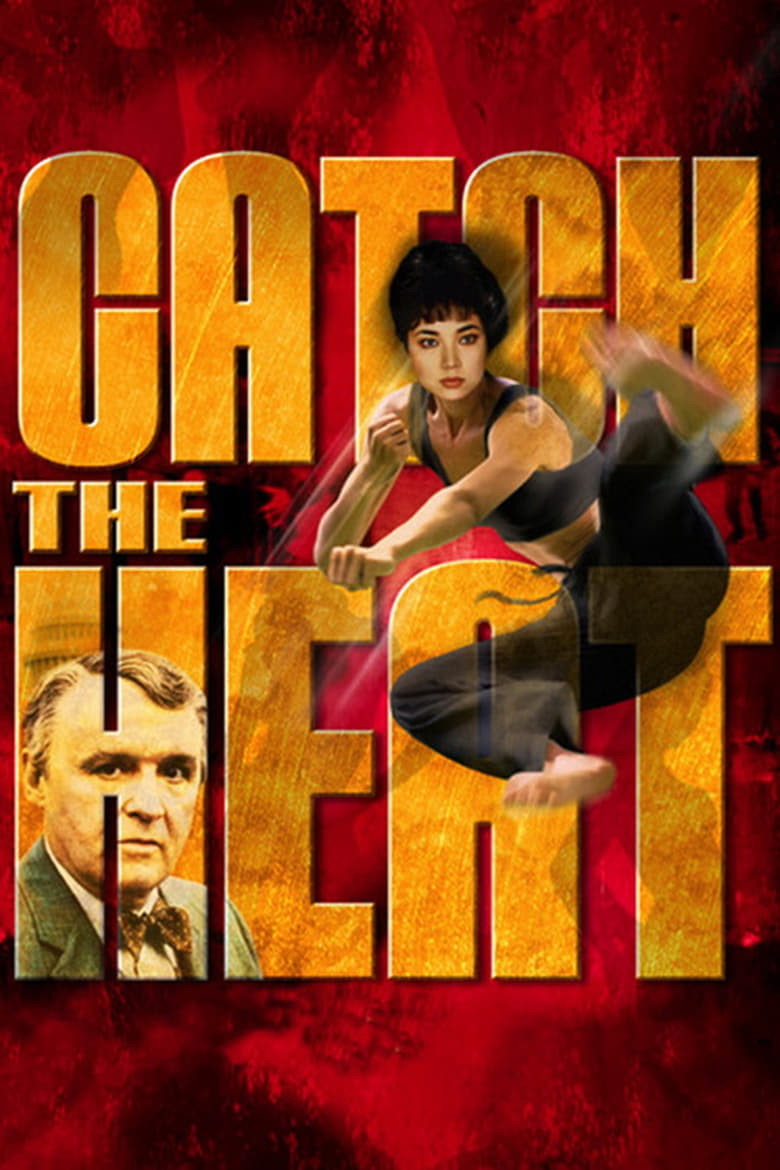 Poster of Catch the Heat