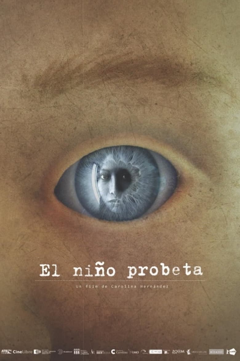 Poster of El niño probeta