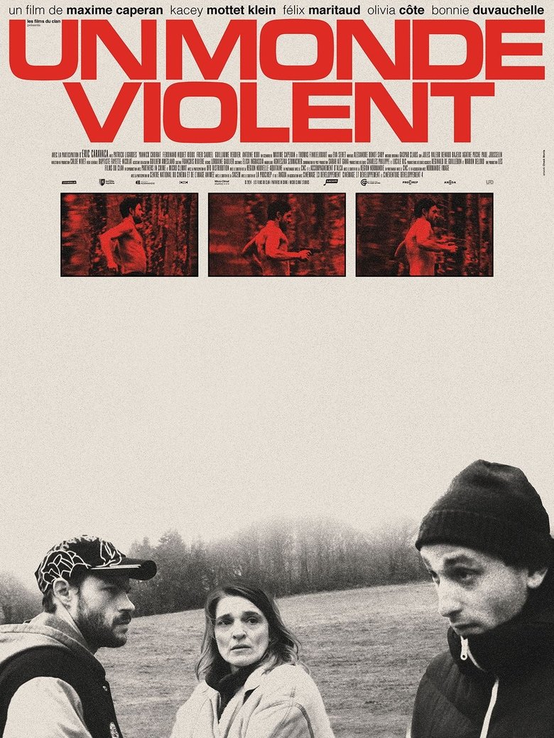 Poster of A Violent World