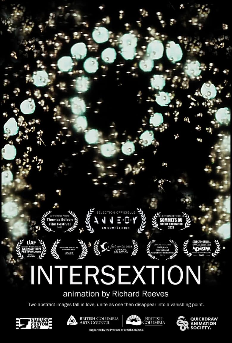 Poster of Intersextion