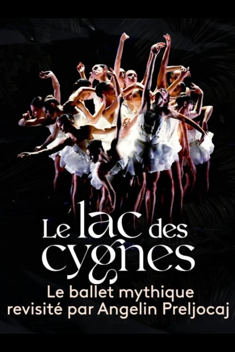 Poster of Le lac des cygnes au théâtre national de Chaillot