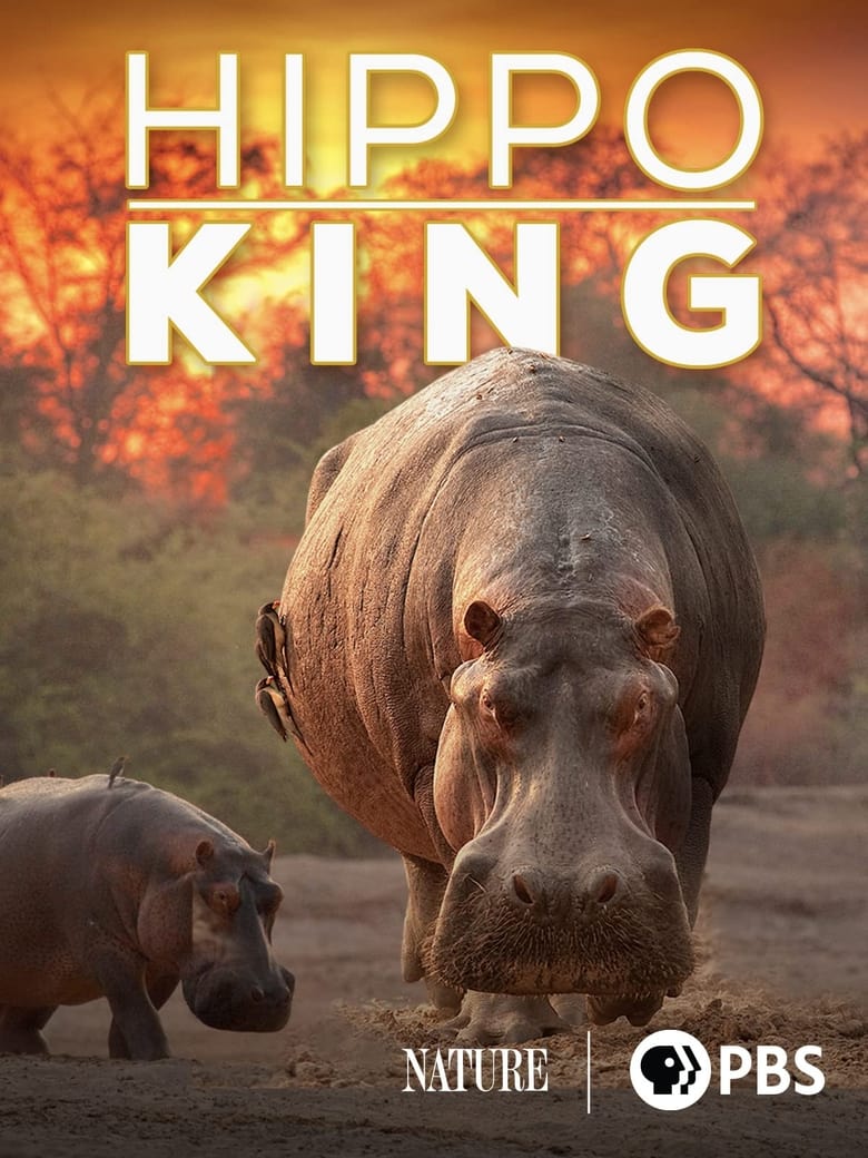 Poster of Hippo King