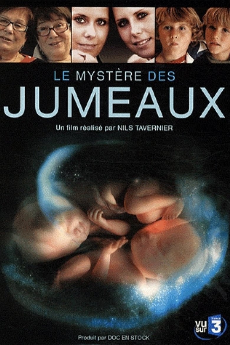 Poster of Le mystère des jumeaux