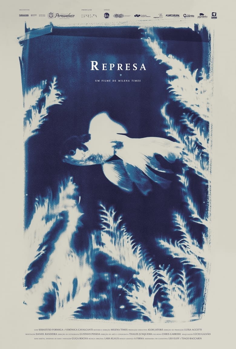 Poster of Represa