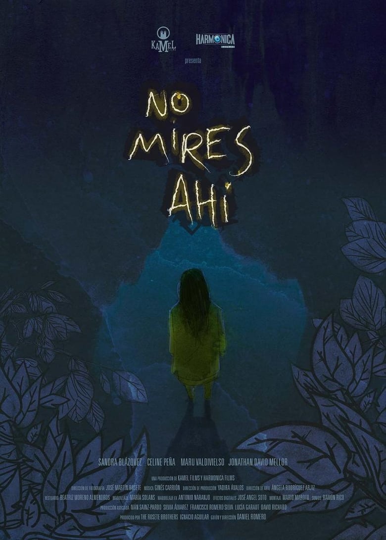 Poster of No mires ahí