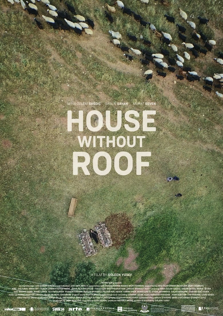 Poster of House Without Roof