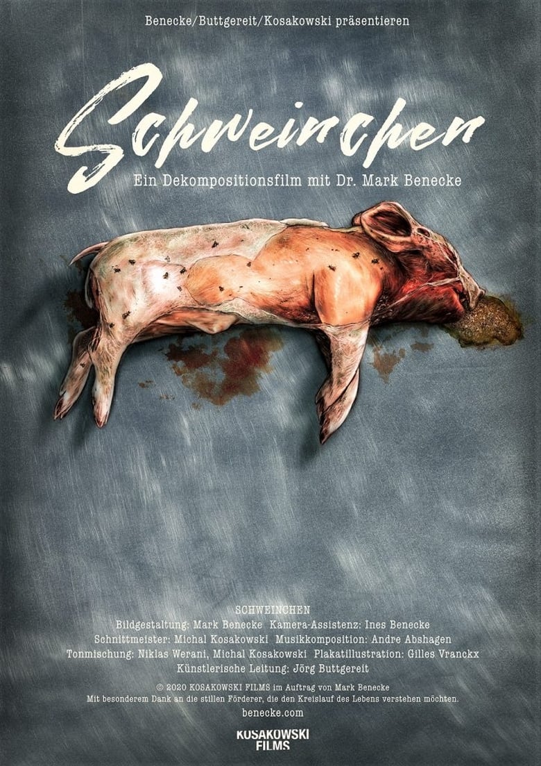 Poster of Piggy